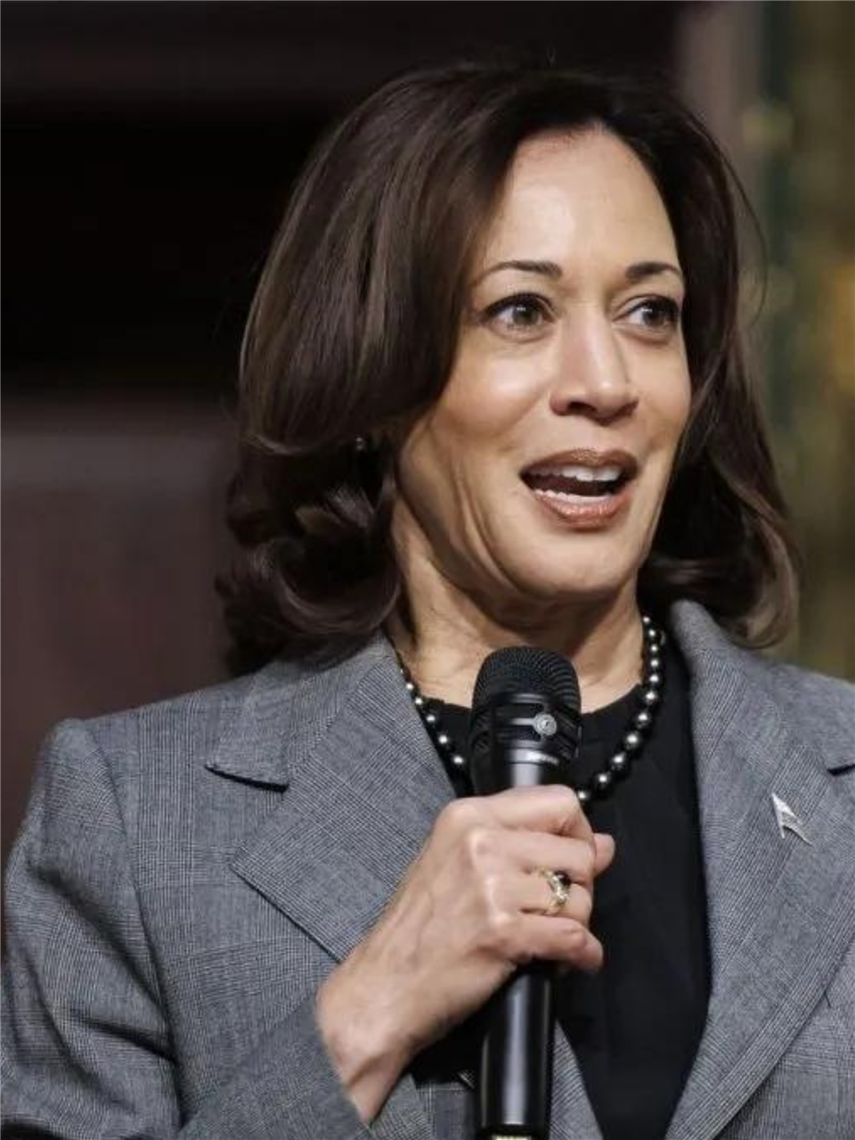 Kamala harris economic plan highlights